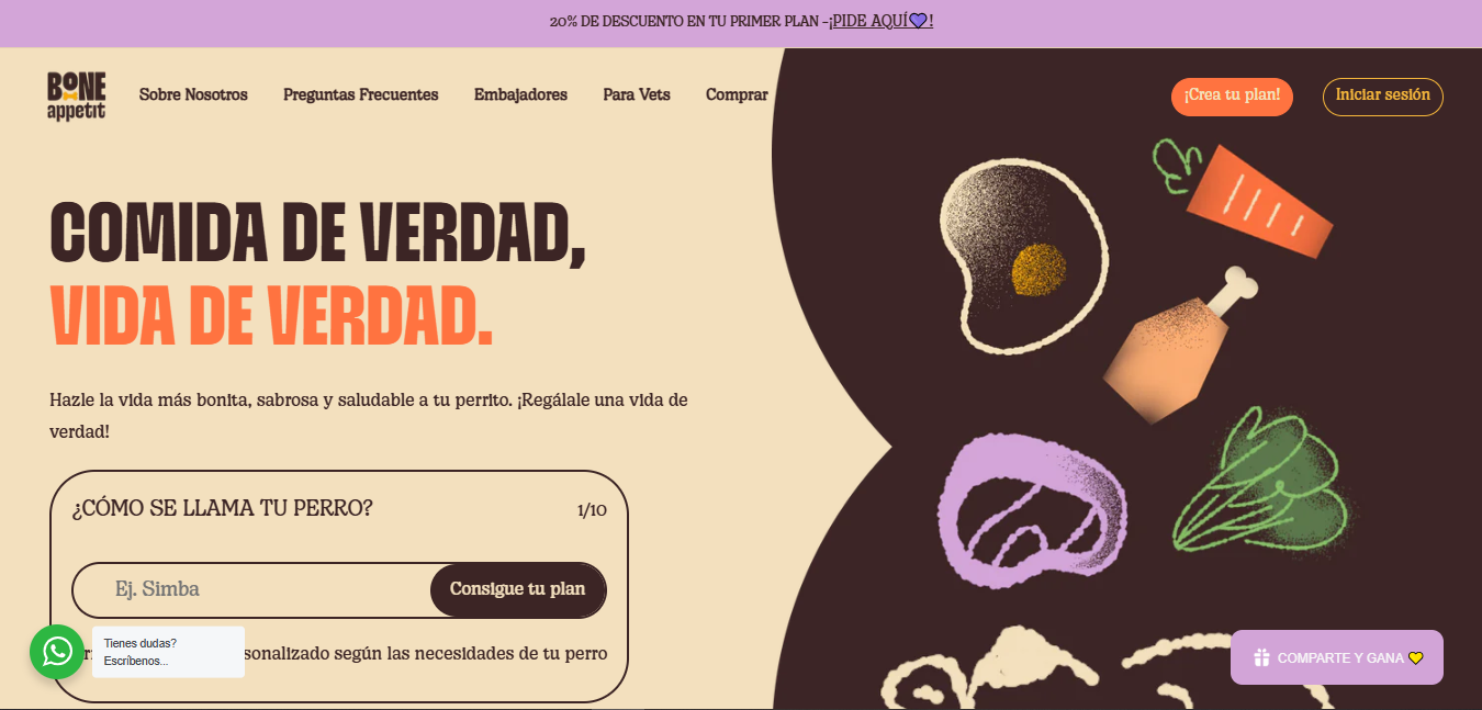 Shopify Theme Design